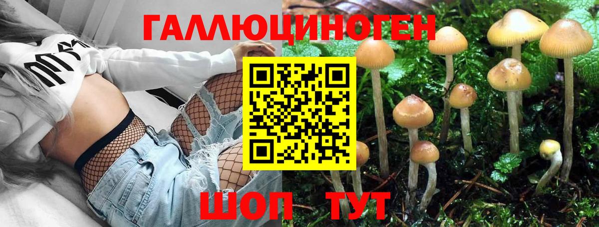 Радужный  Галлюциногенные грибы GOLDEN TEACHER  Псилоцибиновые грибы мицелий  Вход с VPN 
