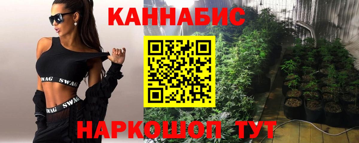 Конопля MAZAR Радужный